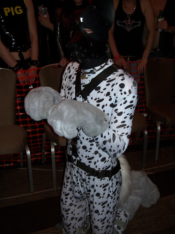 photo_1